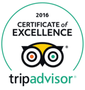 Tripadvisor-Awards-Travel Surity